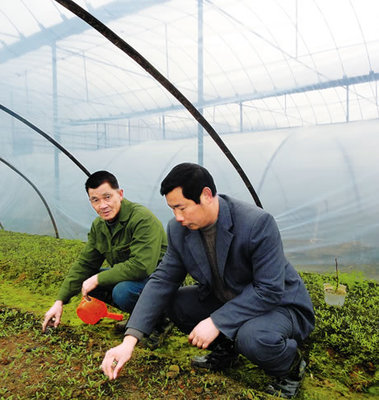 田壟間的堅守者 汪田有深耕農(nóng)技十六載，鋪就農(nóng)民致富路